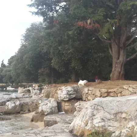 Mona Rovinj